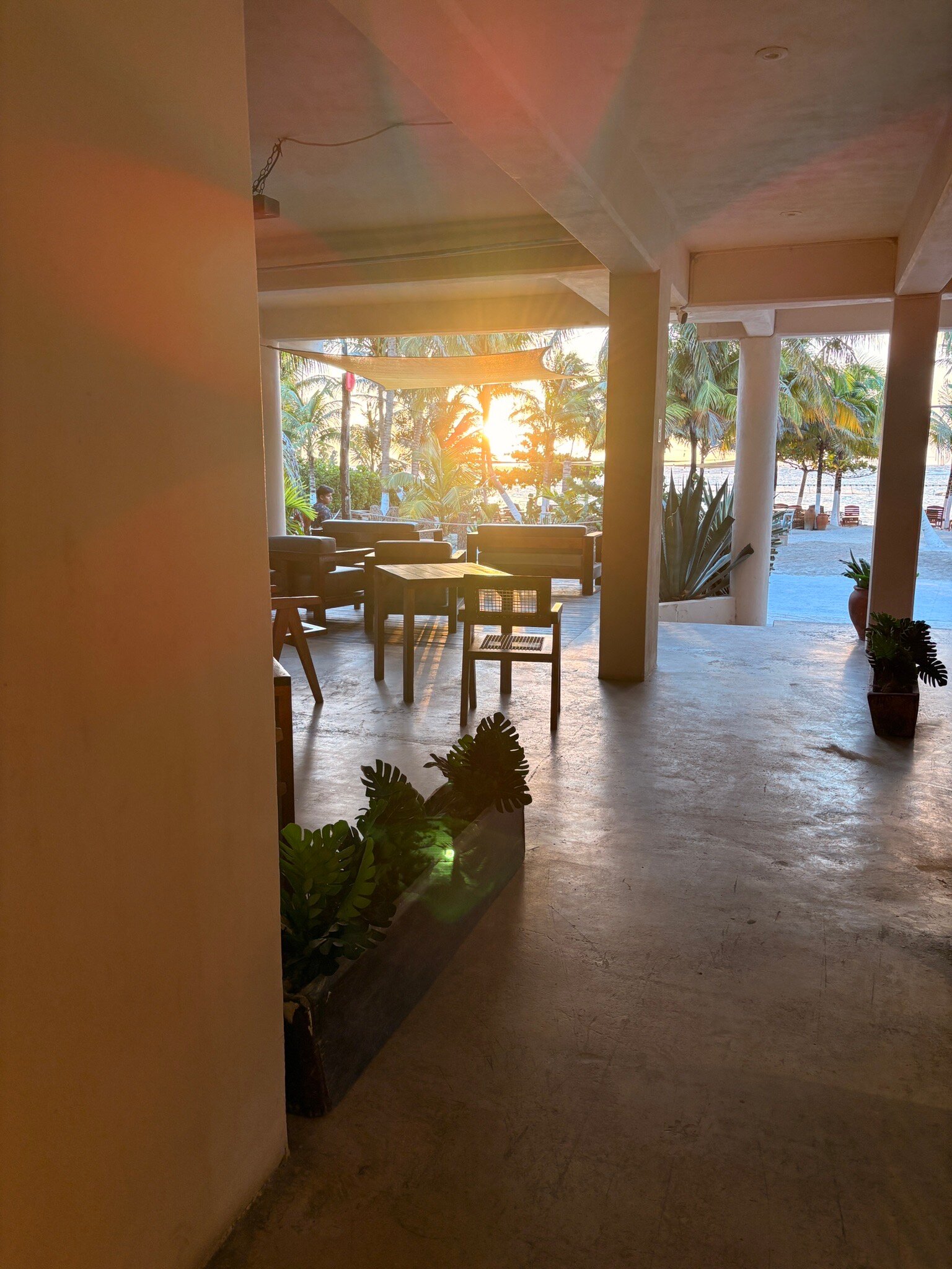 Noah Beach Hotel & Suites-官方