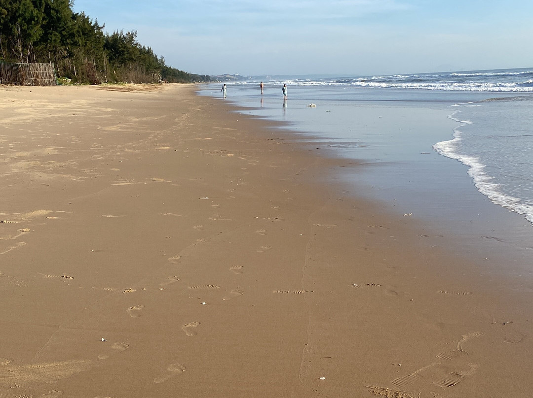 Sonata Resort & Spa主图