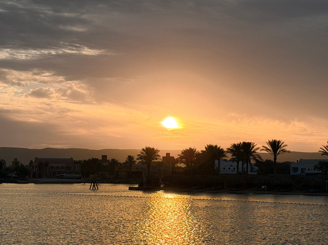 艾高娜酒店住宿-Steigenberger Golf Resort El Gouna