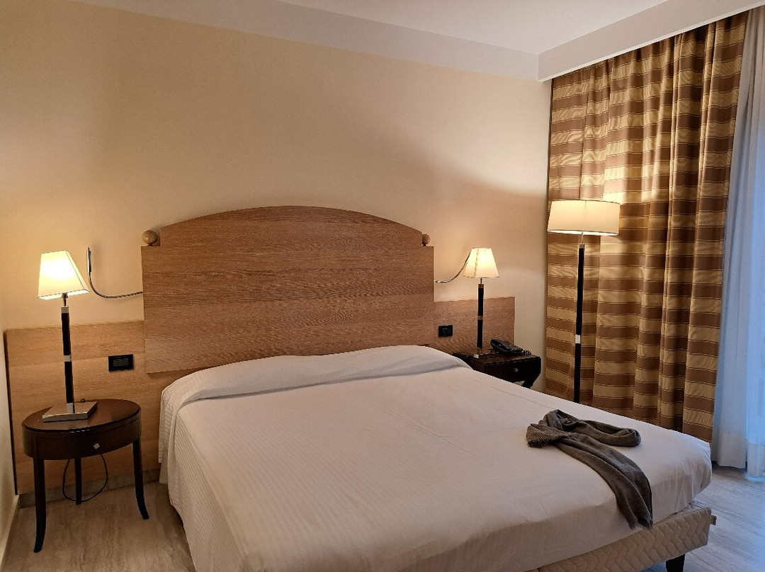 帕拉索方缇酒店主图