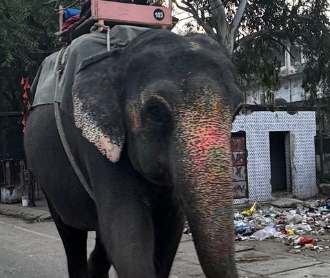 Xplore Real India-新德里必去景点