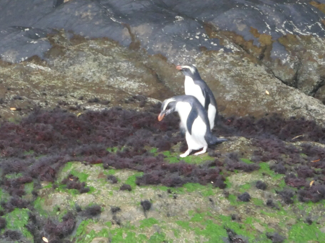 Fiordland Expeditions - Doubtful Sound Overnight Cruises & Multi Day Charters-马纳普里必去景点
