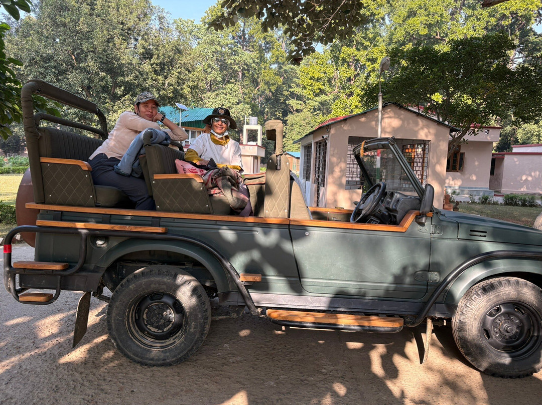 Camp TigerLily主图