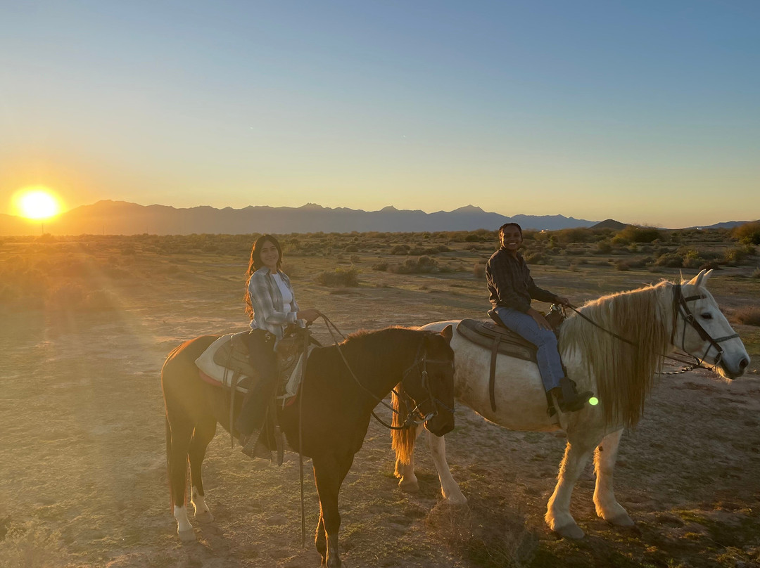 KOLI Equestrian Center-钱德勒必去景点
