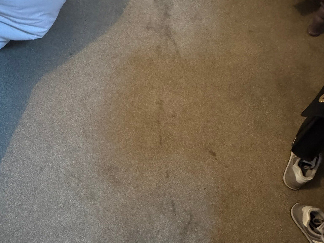 The White Bear Inn主图