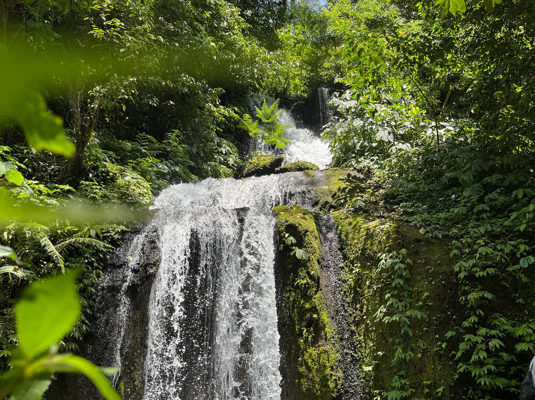 Bali waterfalls tours & jungle trekking-Sayan必去景点