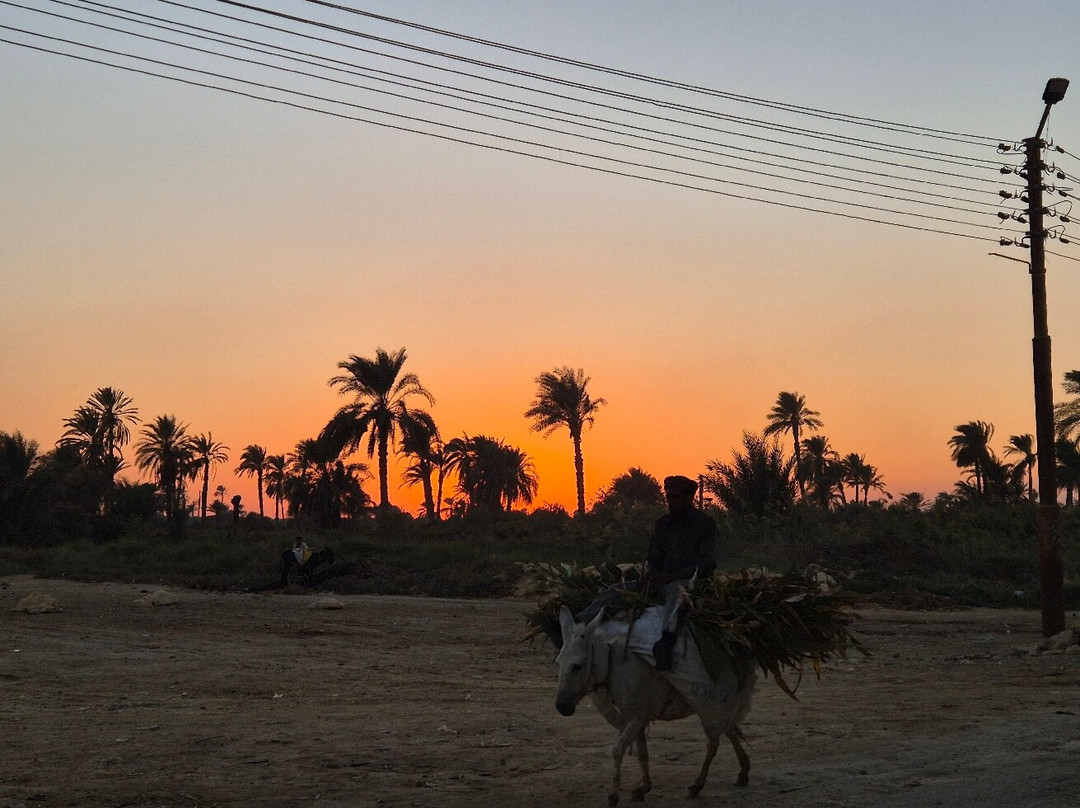La Toupie Voyageuse-里昂必去景点