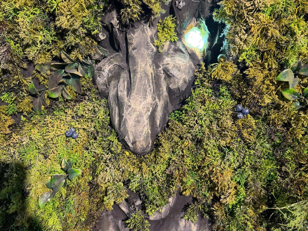 Troll Museum-特罗姆瑟必去景点