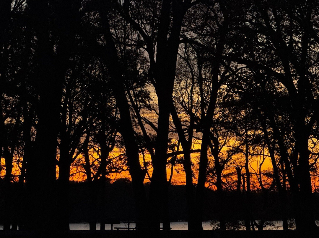 Lake Chicot State Park-Lake Village必去景点