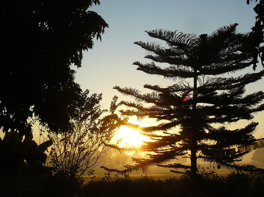 Bardia Homestay主图