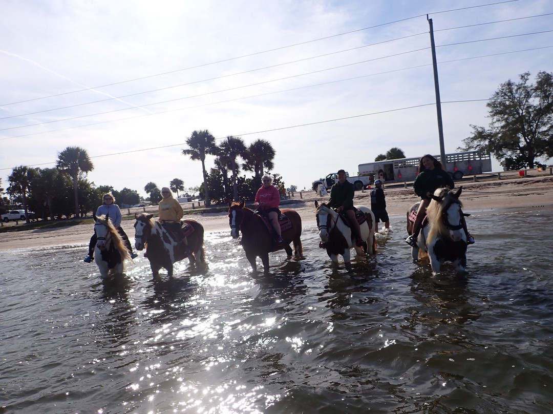 C Ponies Beach Horseback Rides-布雷登顿必去景点