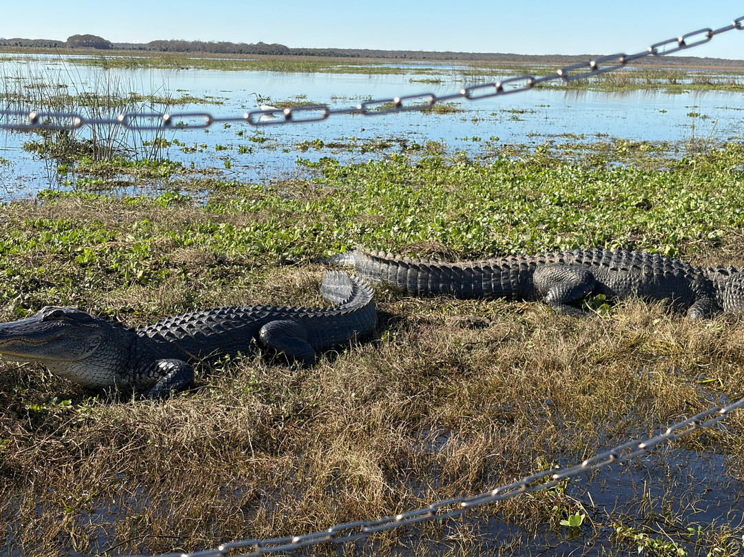 AirBoat Rides at Midway-Christmas必去景点