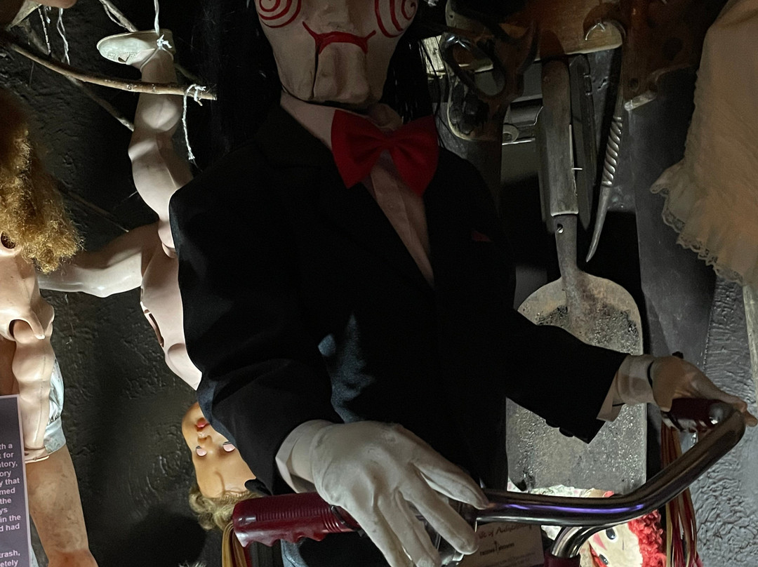 The Museum Of Curiosities-诺丁汉必去景点