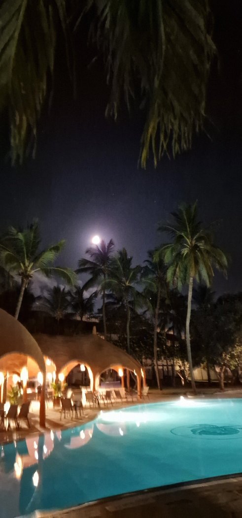 南棕榈海滩度假村-官方