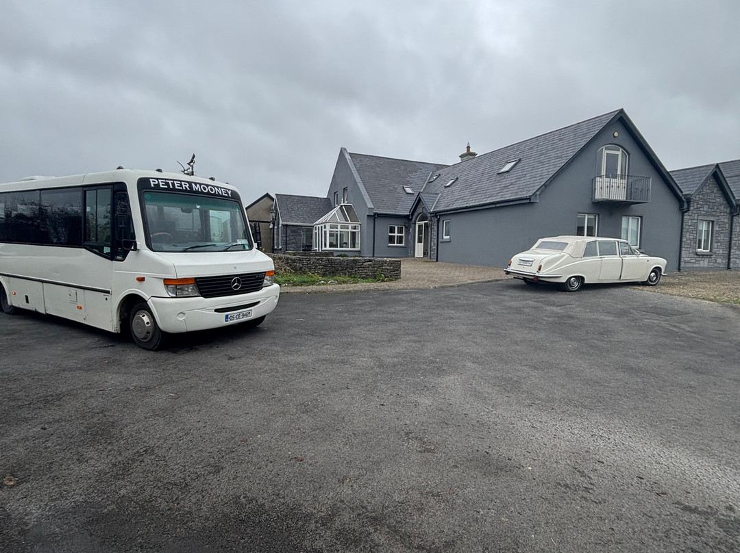 Peter Mooney Tours & Executive Travel-Lisdoonvarna必去景点