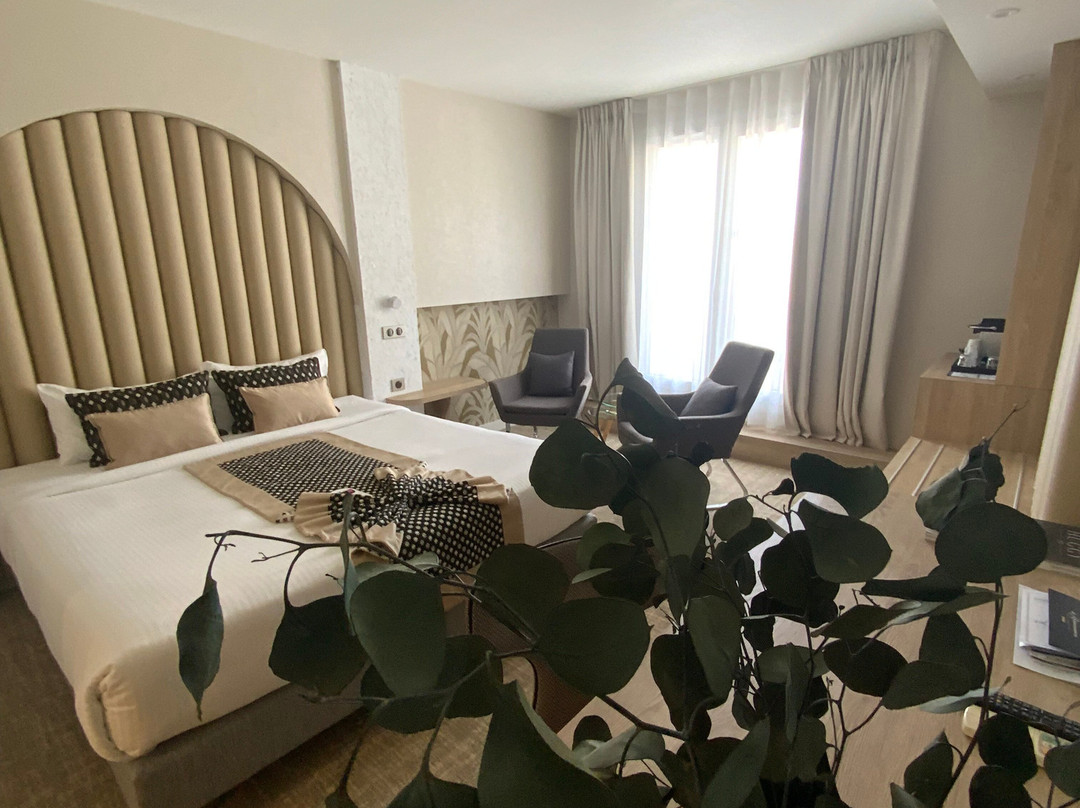 Le Renaissance主图