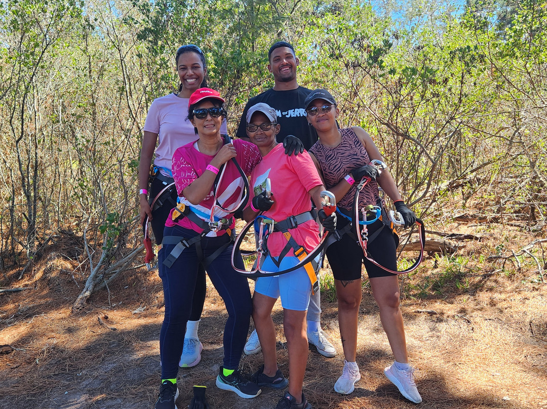 Acrobranch Garden Route-荒野必去景点