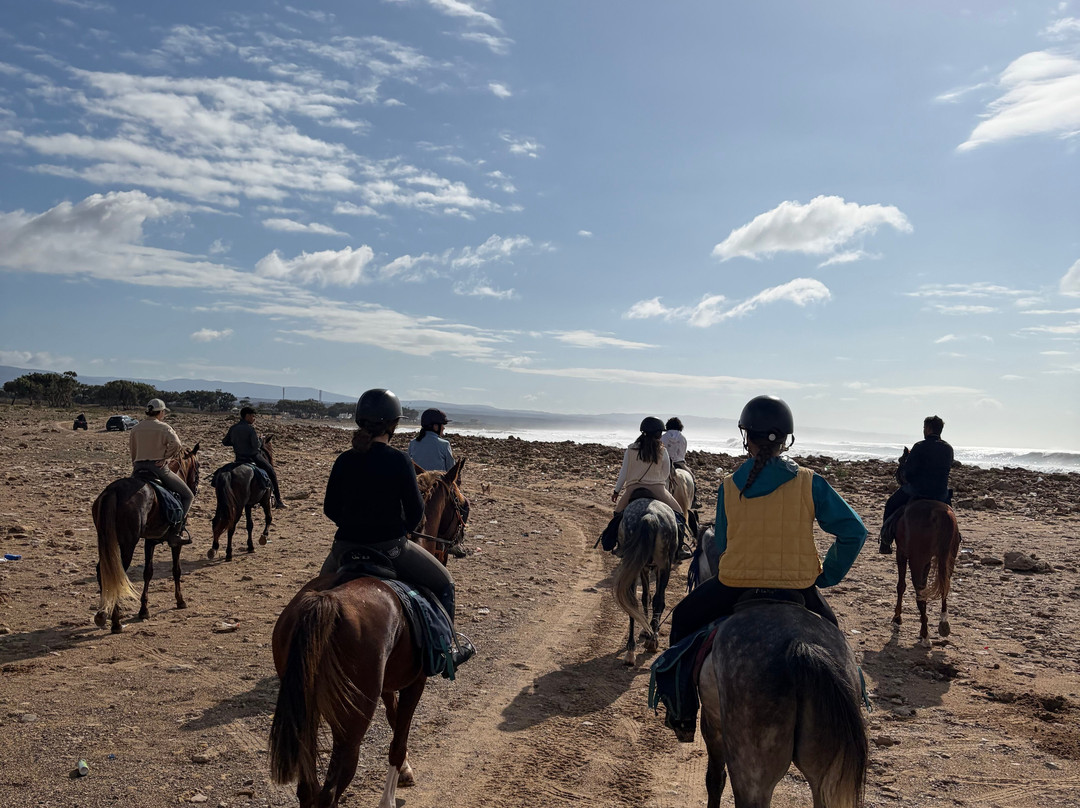 Cheval Essaouira-索维拉必去景点