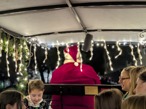 Carriage Tours of Savannah-萨凡纳必去景点