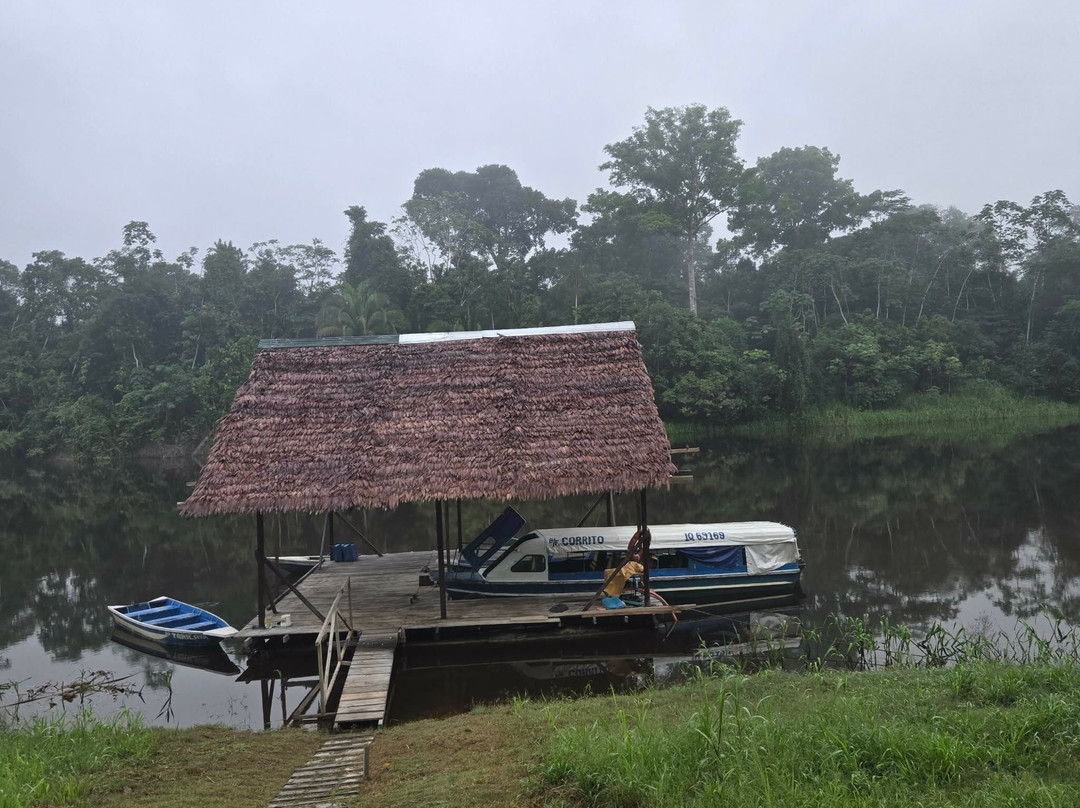 Tapiche Jungle Reserve-伊基托斯必去景点