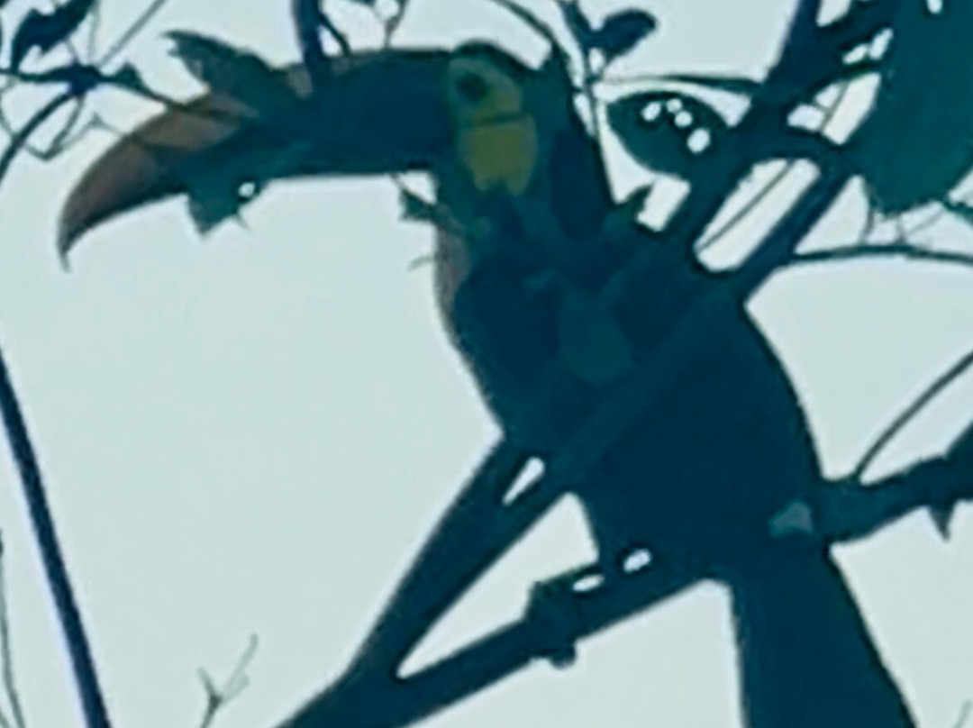 Gaia Hotel & Reserve主图