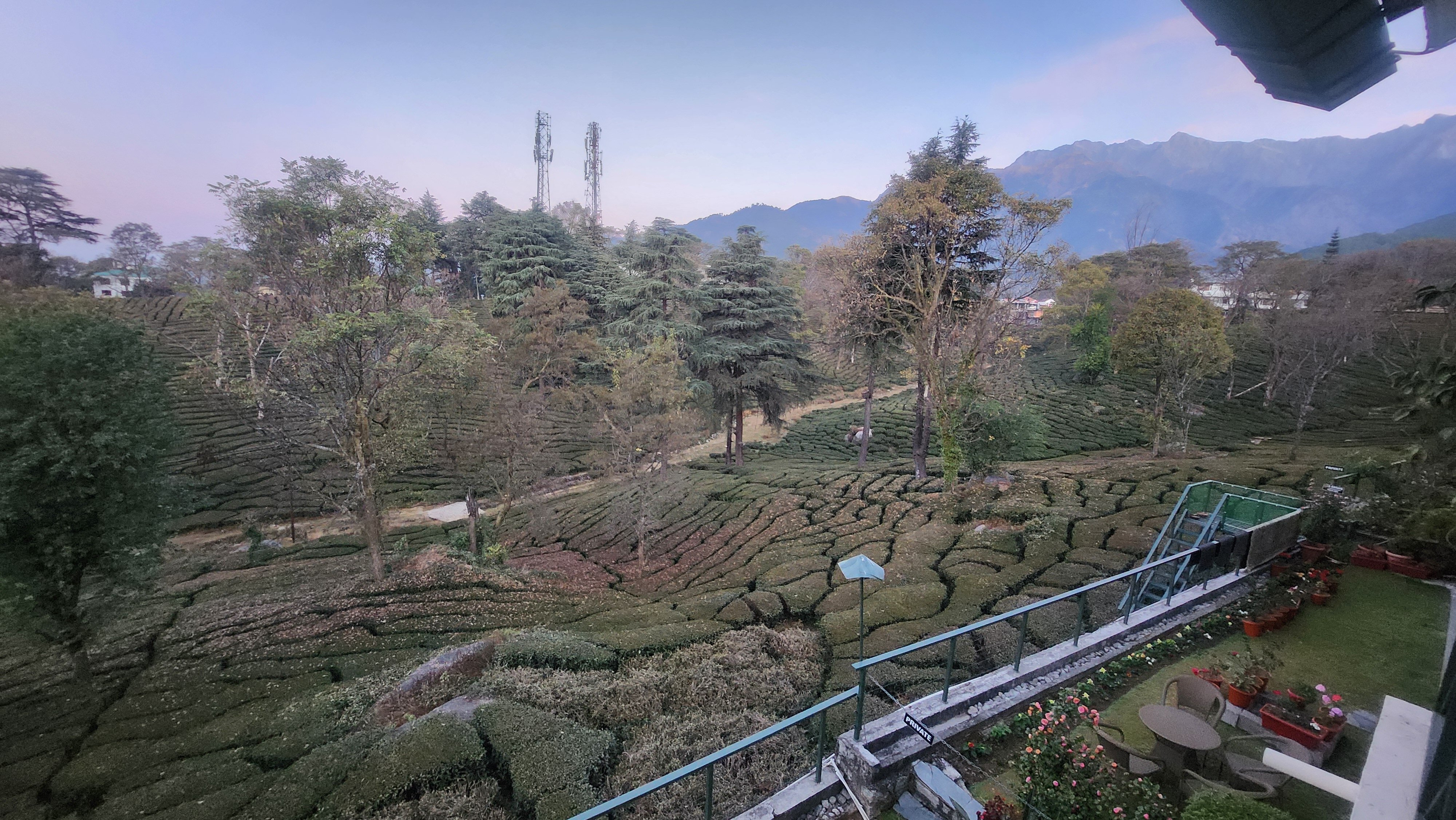 Lamrin Norwood Green Palampur-官方