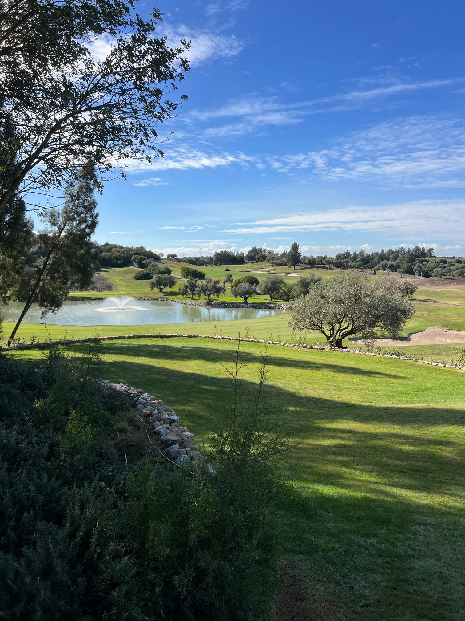 Barceló Montecastillo Golf-酒店景观