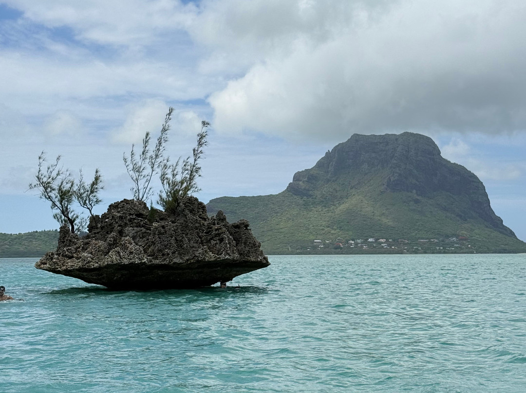 The Pearl Cruise-贝尔欧布莱必去景点