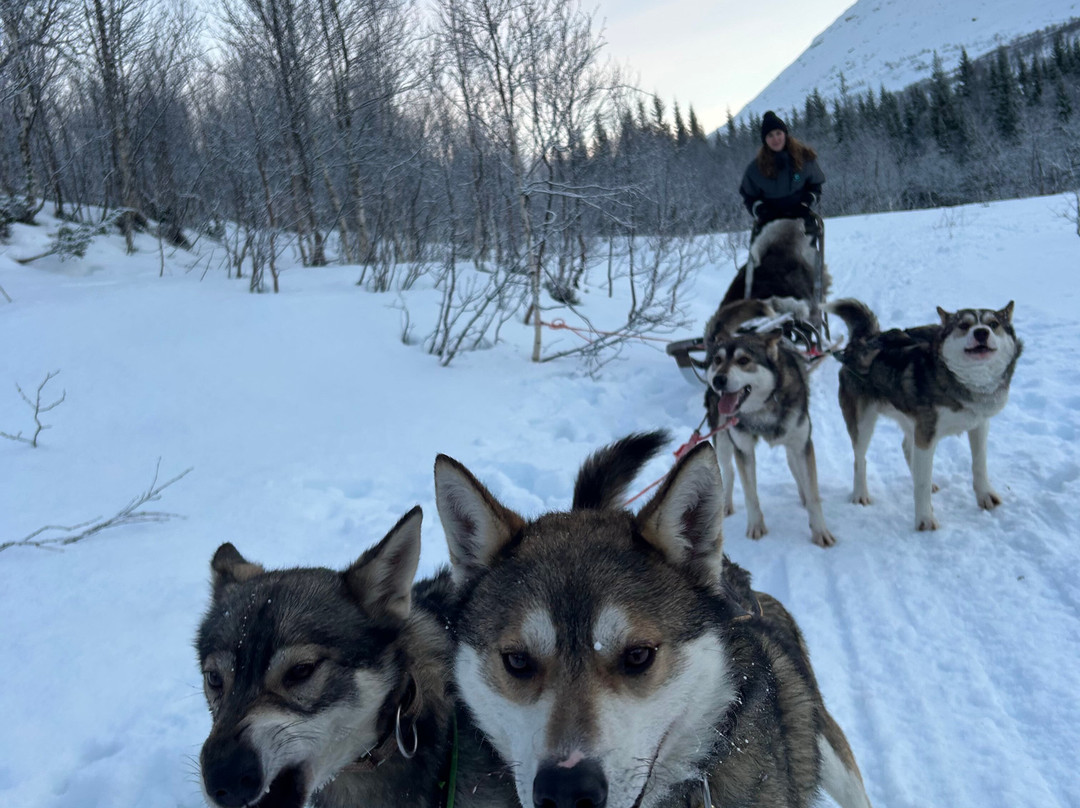 Nordland Adventures-博多必去景点