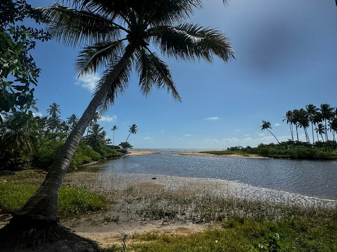 Japaratinga Visit Tur-Japaratinga必去景点
