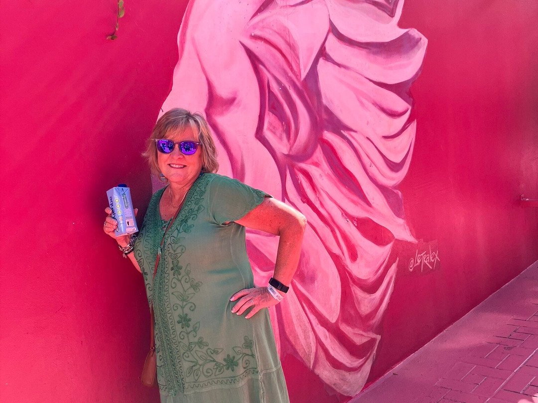 Paseo de Dona Blanca-普拉塔港必去景点