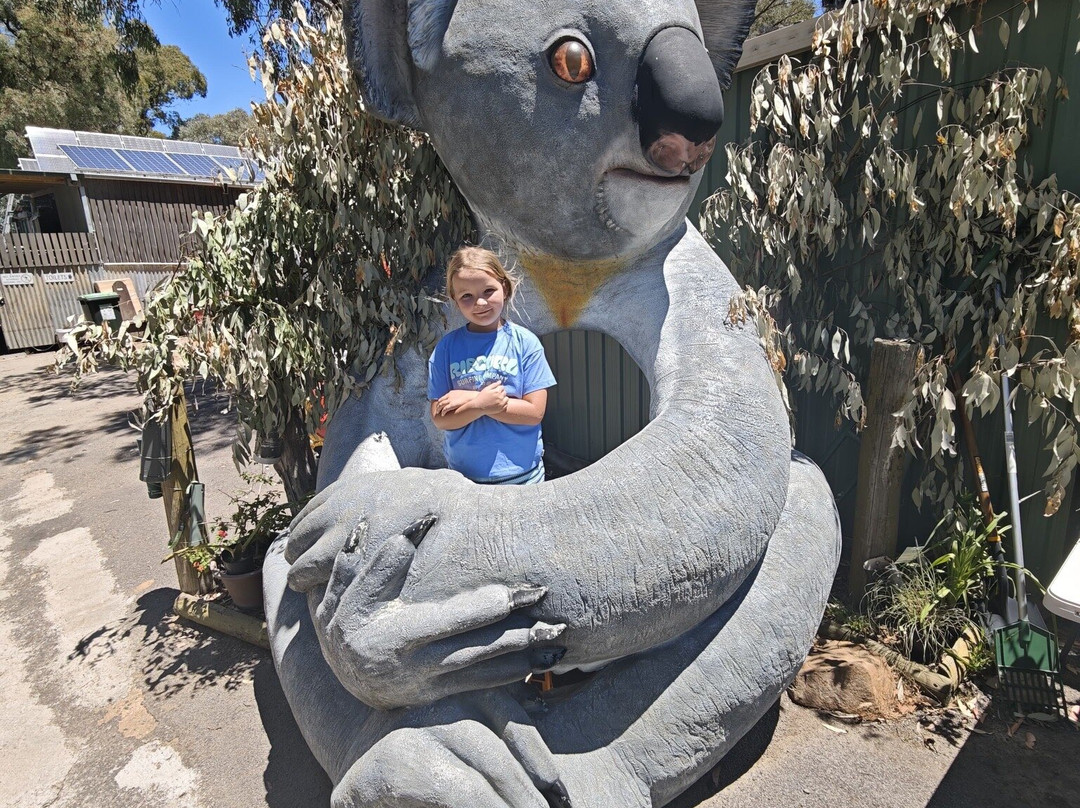 Jirrahlinga Dingo Conservation & Wildlife Education Centre-Chewton必去景点