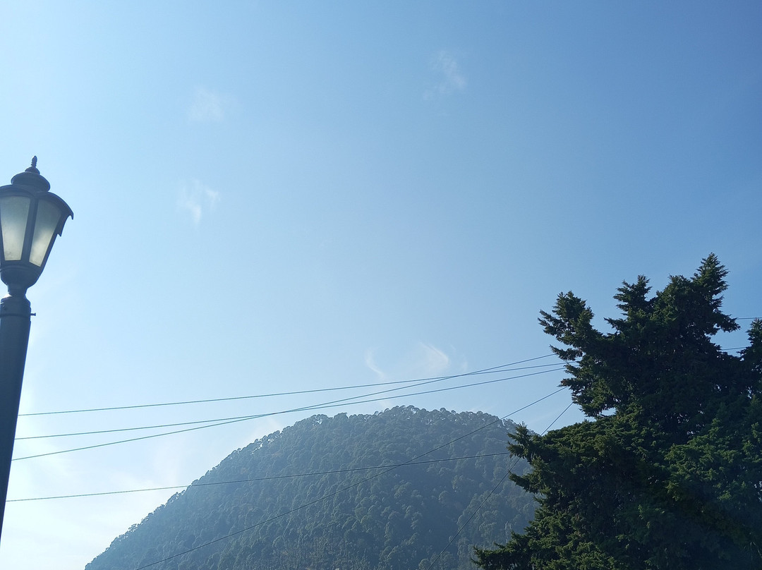 8fold-pinecrest By Larisa, Bhimtal主图