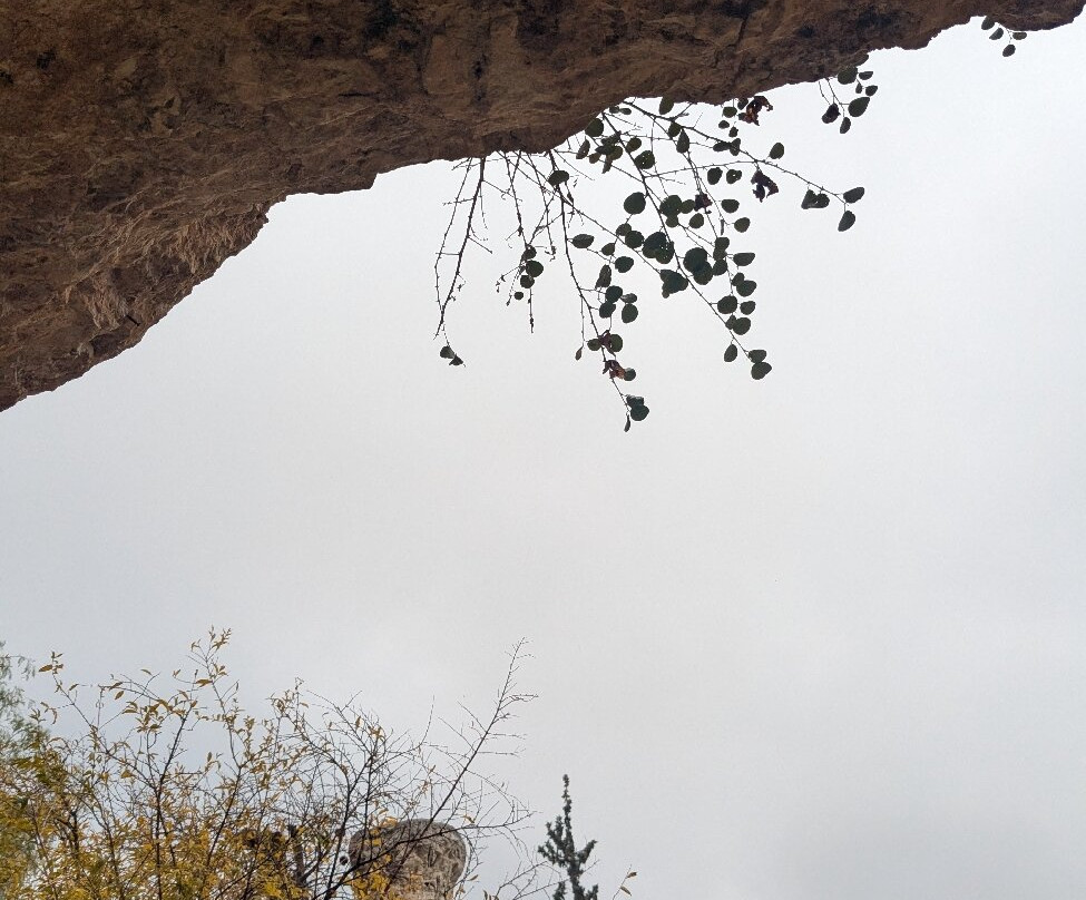 Darat al Funun-安曼必去景点