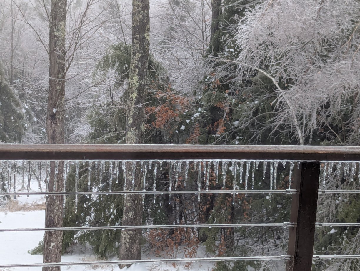 森特尼尔酒店-官方