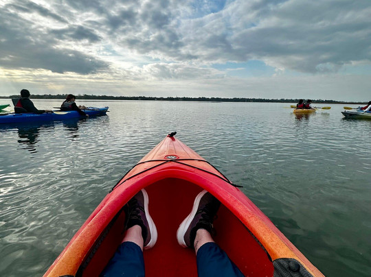 Beaufort Kayak Tours-博福特必去景点