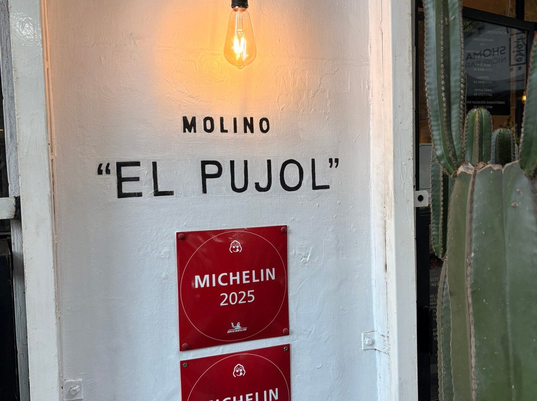 Stepping Mexico-墨西哥城必去景点