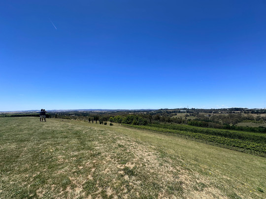 Borrodell Vineyard-奥兰治必去景点