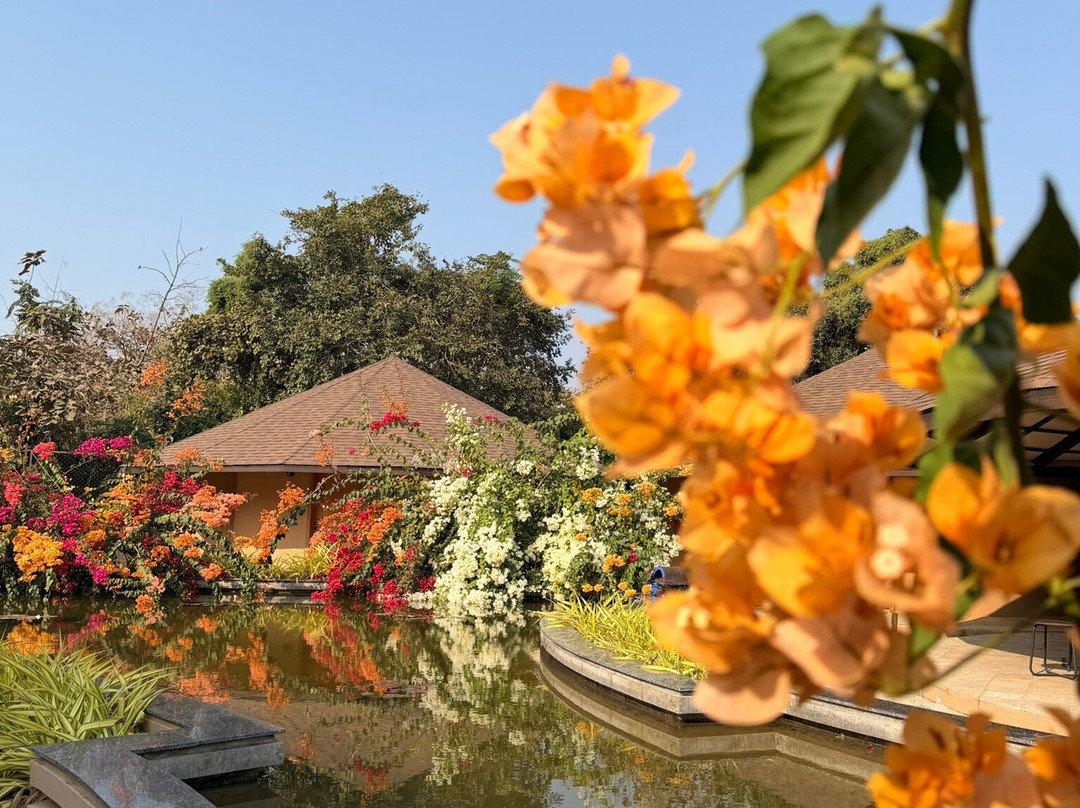 Jagira Ananta Elite主图