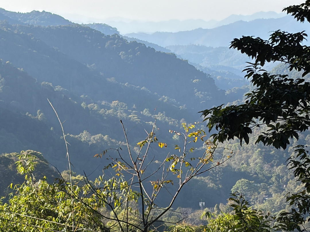 King Kong Smile Zipline-雷沙革必去景点