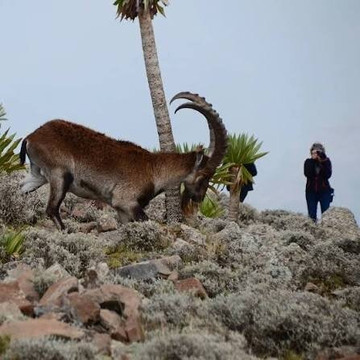 Turaco tours & Travel