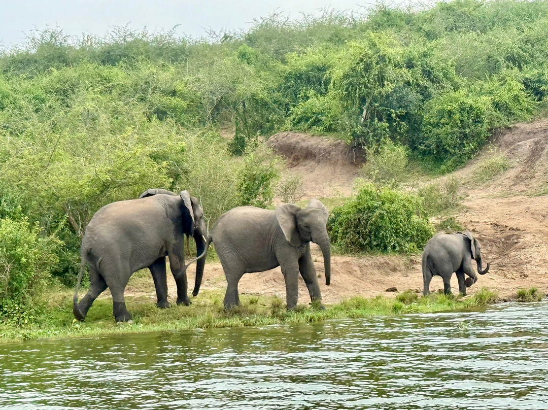 Katona Tours and Travel-吉佳利必去景点