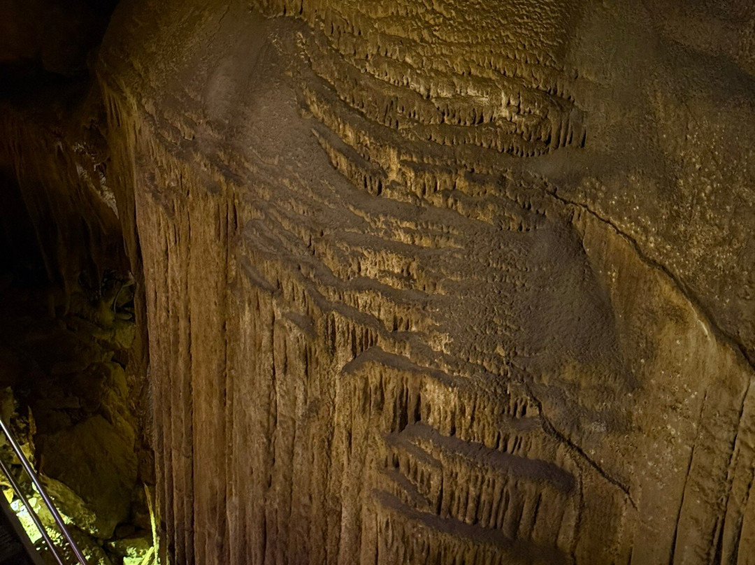 Domes And Dripstones Tour-Mammoth Cave必去景点