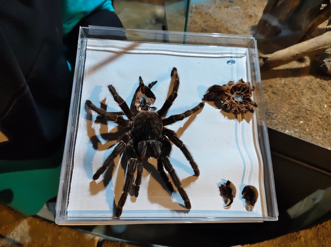 蟲鳴大地-巴巷海滩必去景点