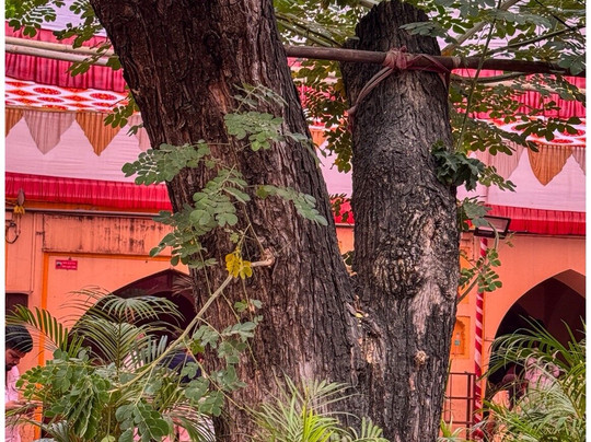 Shree Chintamani Temple-浦那必去景点