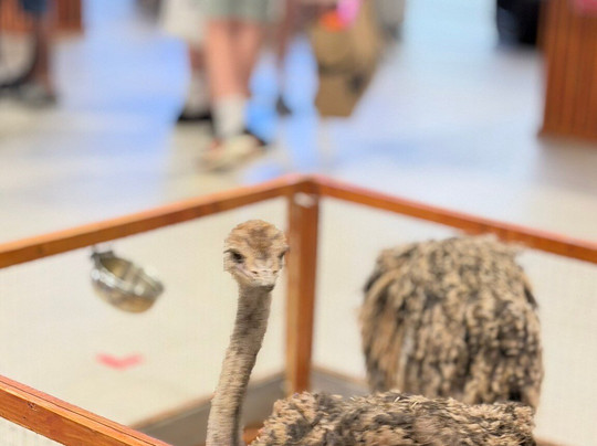 Siam Premium Outlets Bangkok-挽捎通必去景点