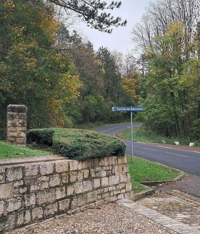 Tranchée des Baïonnettes-凡尔登必去景点