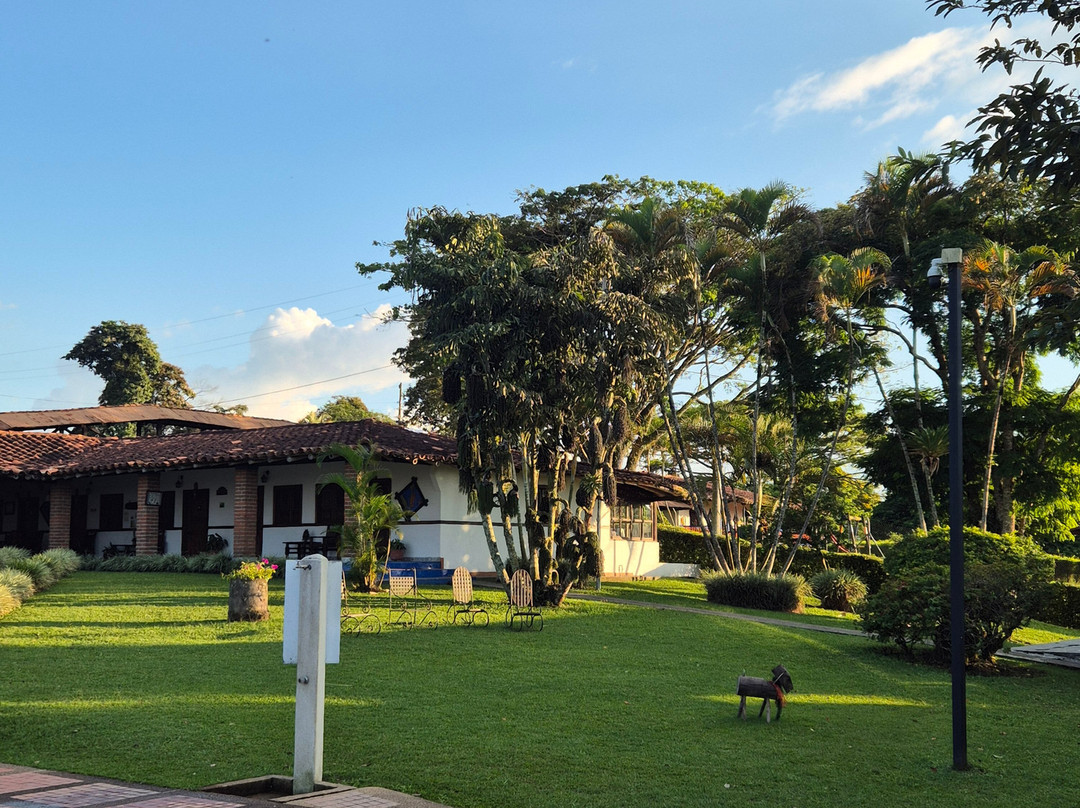 Hotel Bosques Del Samán - Alcalá主图