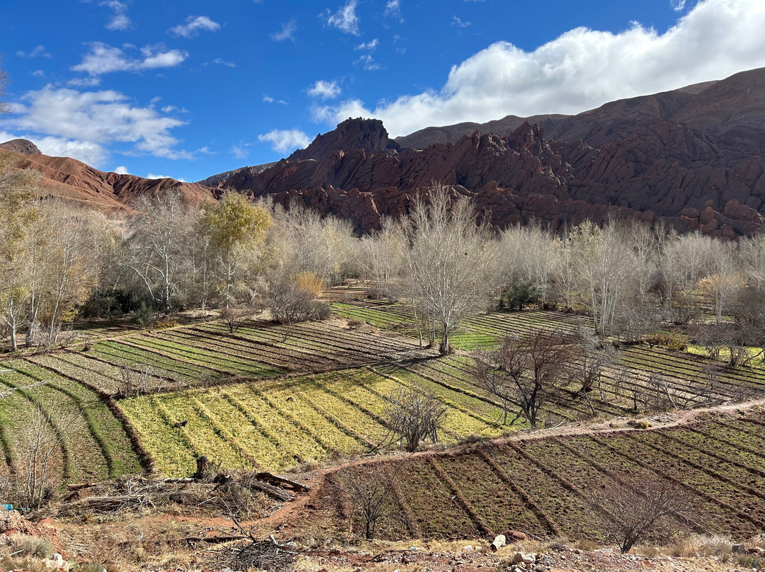 Marrakech Excursion-马拉喀什必去景点