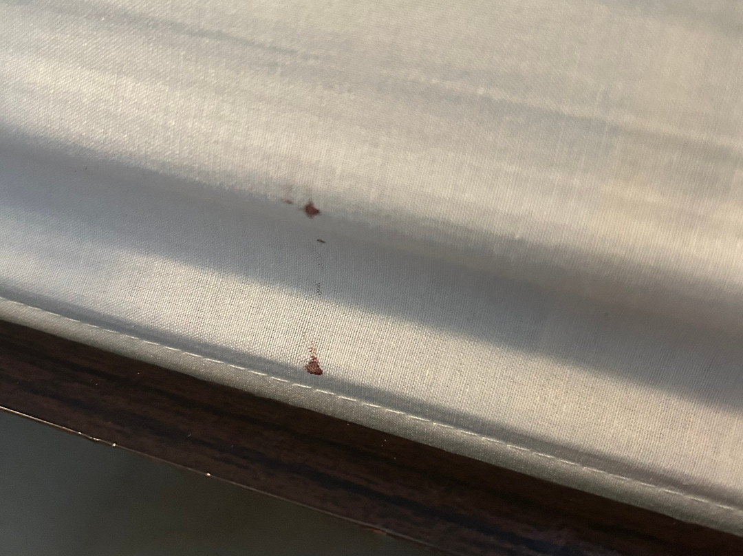 Hotel Metropole Residence主图